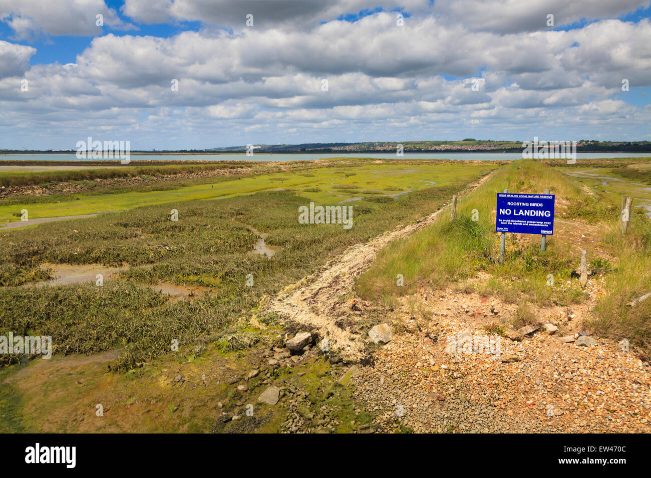 Warning sign ' Roosting Birds No Landing' at west hayling local nature reserve Stock Photo