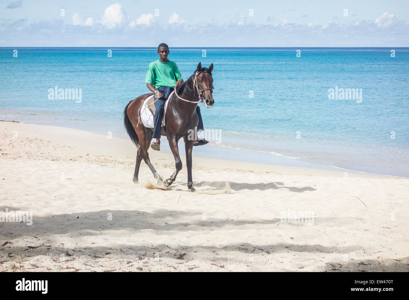 A native Crucian, or Cruzan, rides his horse on Sandcastle Beach in St. Croix, U.S. Virgin Islands. Stock Photo