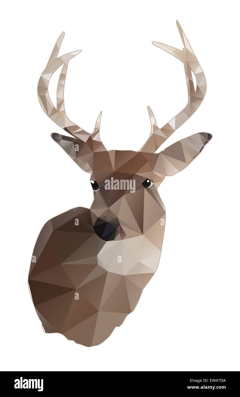 An abstract design of a whitetail deer buck isolated on white. Stock Photo