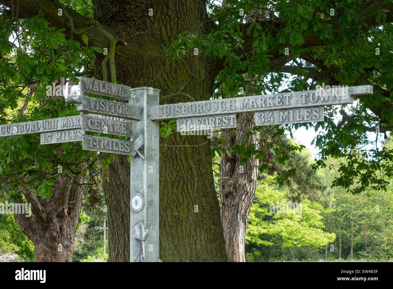 A signpost near Hutton Village showing directions for visitors to the Guisborough Forest Walkway North Yorkshire Stock Photo