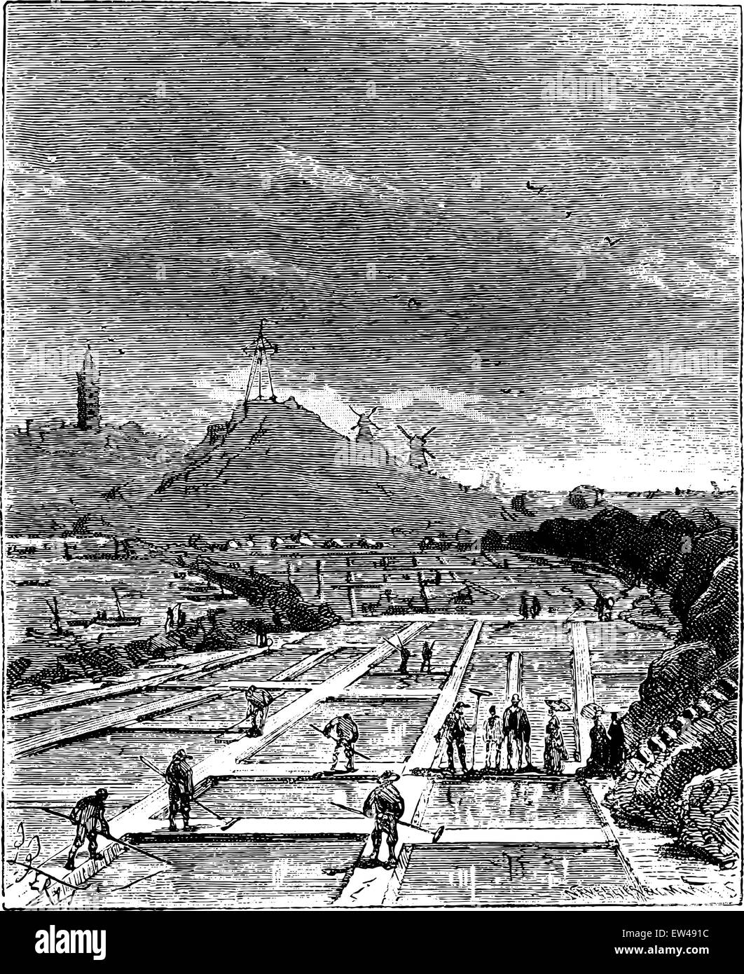 The Tour de France a small Parisian, Salt marshes, vintage engraved illustration. Journal des Voyage, Travel Journal, (1880-81). Stock Vector