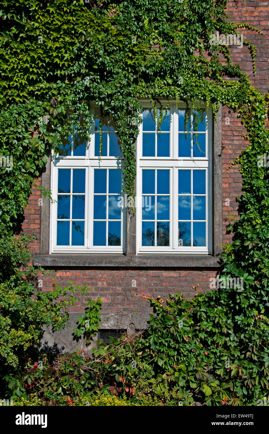 wall with a window Stock Photo - Alamy