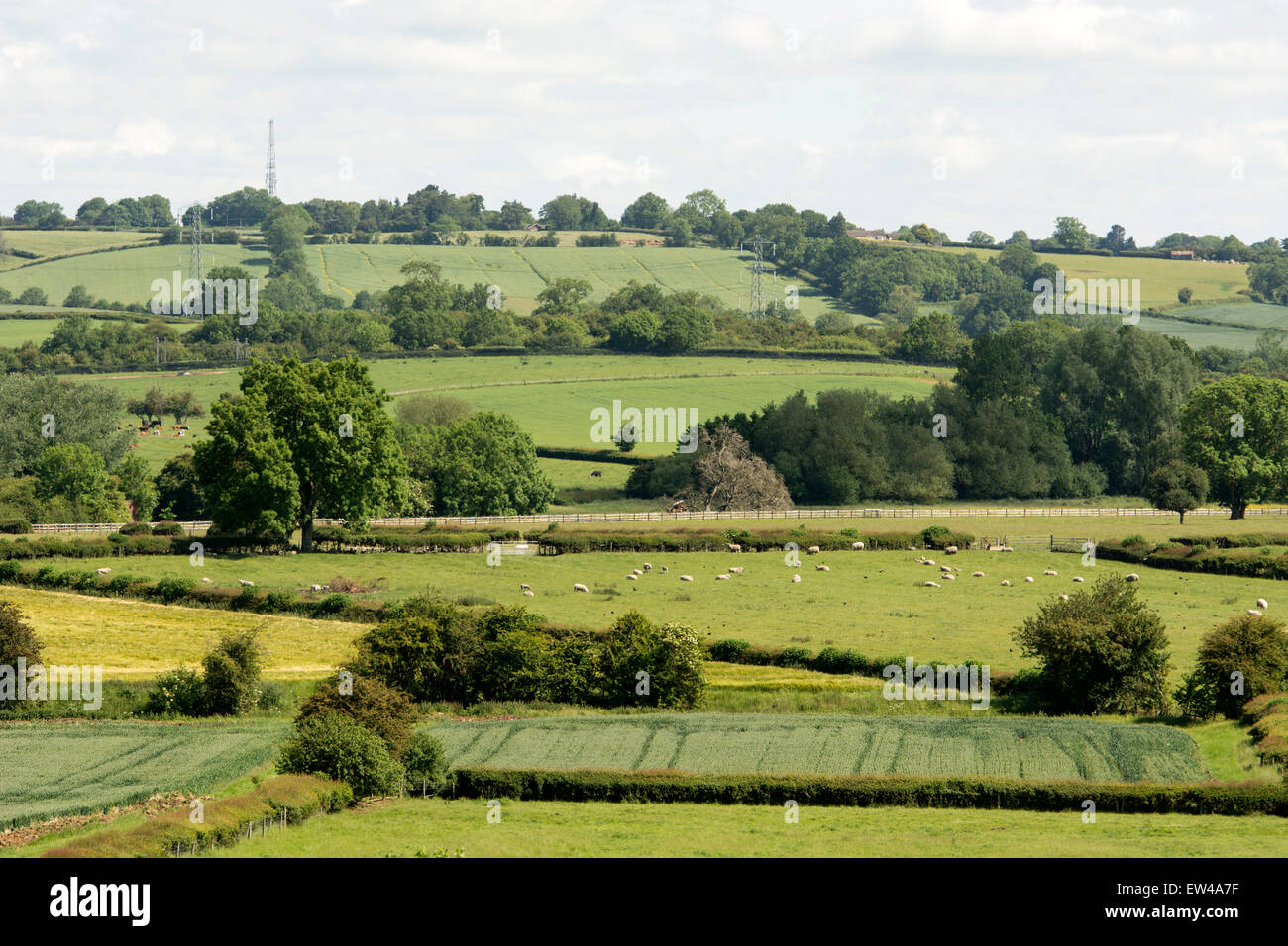 Northamptonshire landscape in summer, England, UK Stock Photo