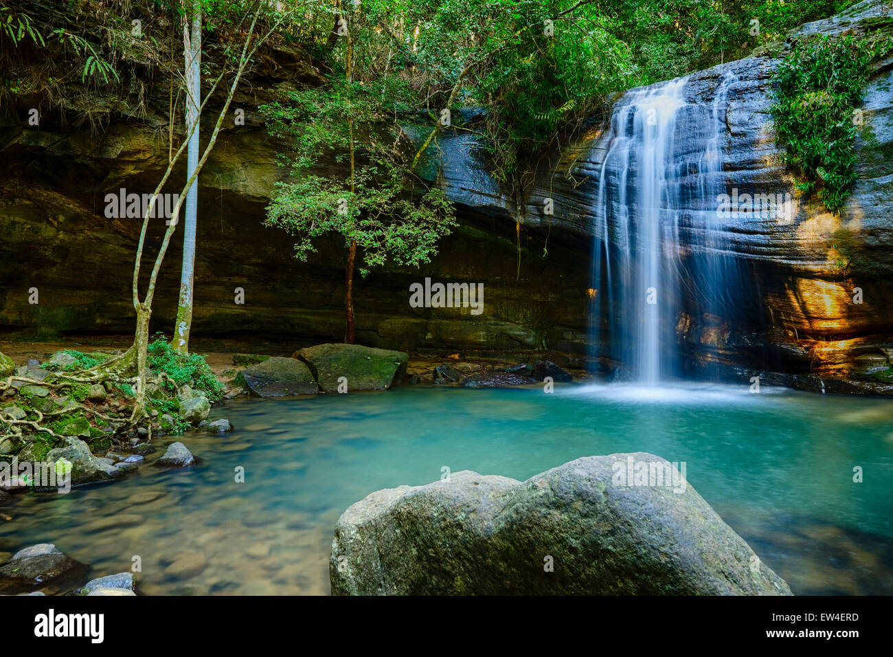 Serenity Falls At Buderim Forest Park Stock Photo 84307313 Alamy