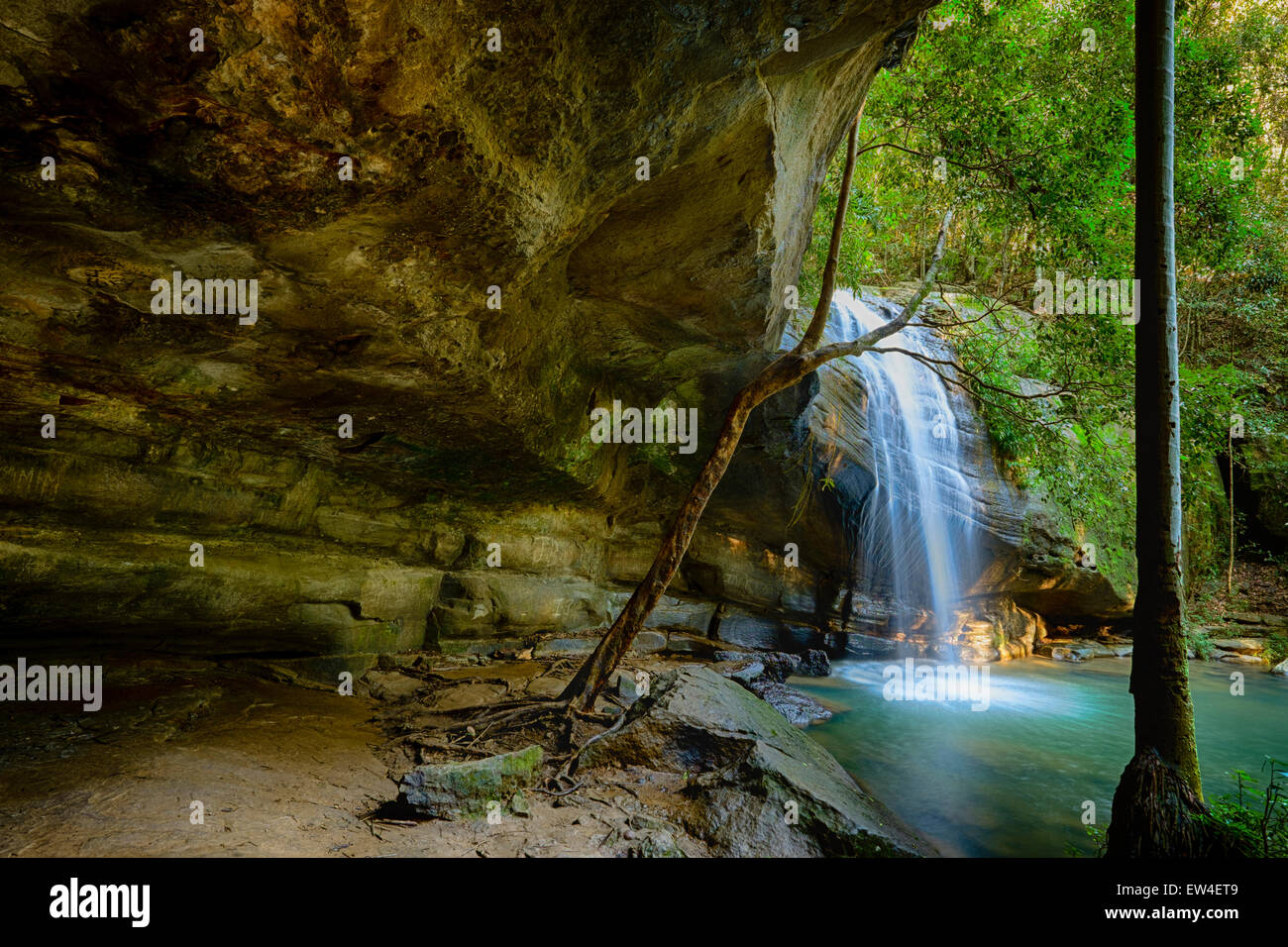 Serenity Falls At Buderim Forest Park Stock Photo 84307337 Alamy