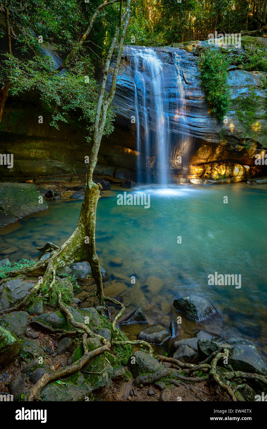 Serenity Falls at Buderim Forest Park Stock Photo