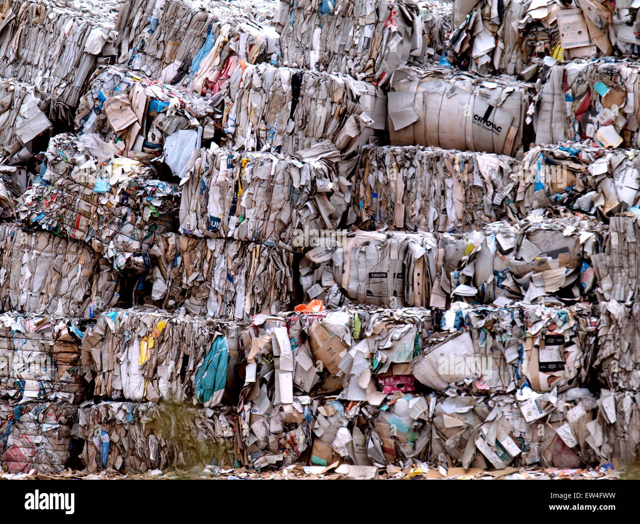 Bales of paper for recycling at Wansborough Paper Mill, Watchet, Somerset, UK Stock Photo