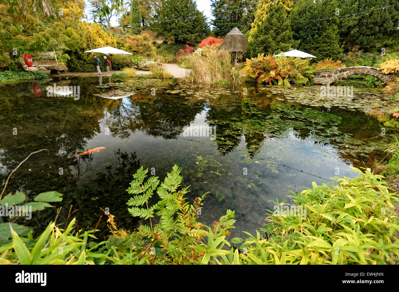 Ness Botanic Gardens are situated near the English and Welsh Border in Cheshire, near to the city of Chester . Stock Photo