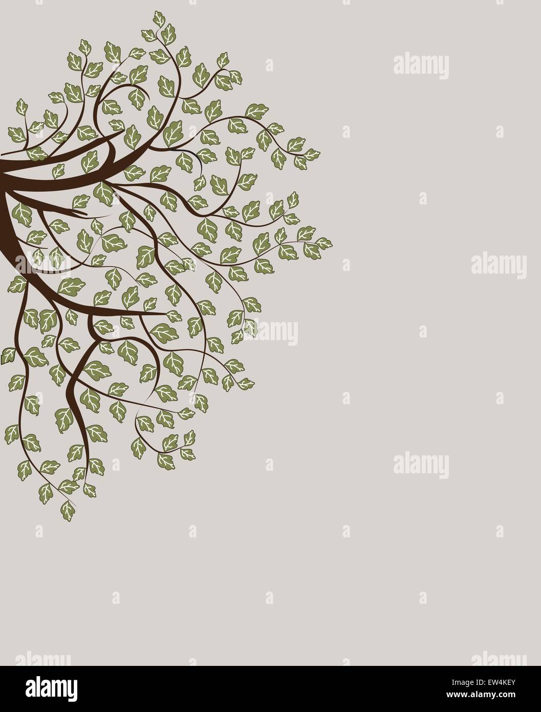 Tree branch with leaves Stock Vector Image & Art - Alamy
