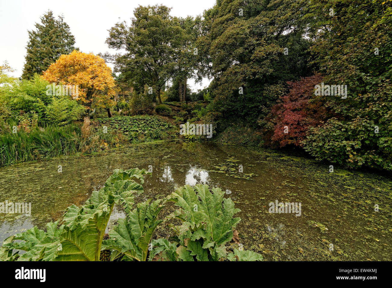Ness Botanic Gardens are situated near the English and Welsh Border in Cheshire, near to the city of Chester . Stock Photo