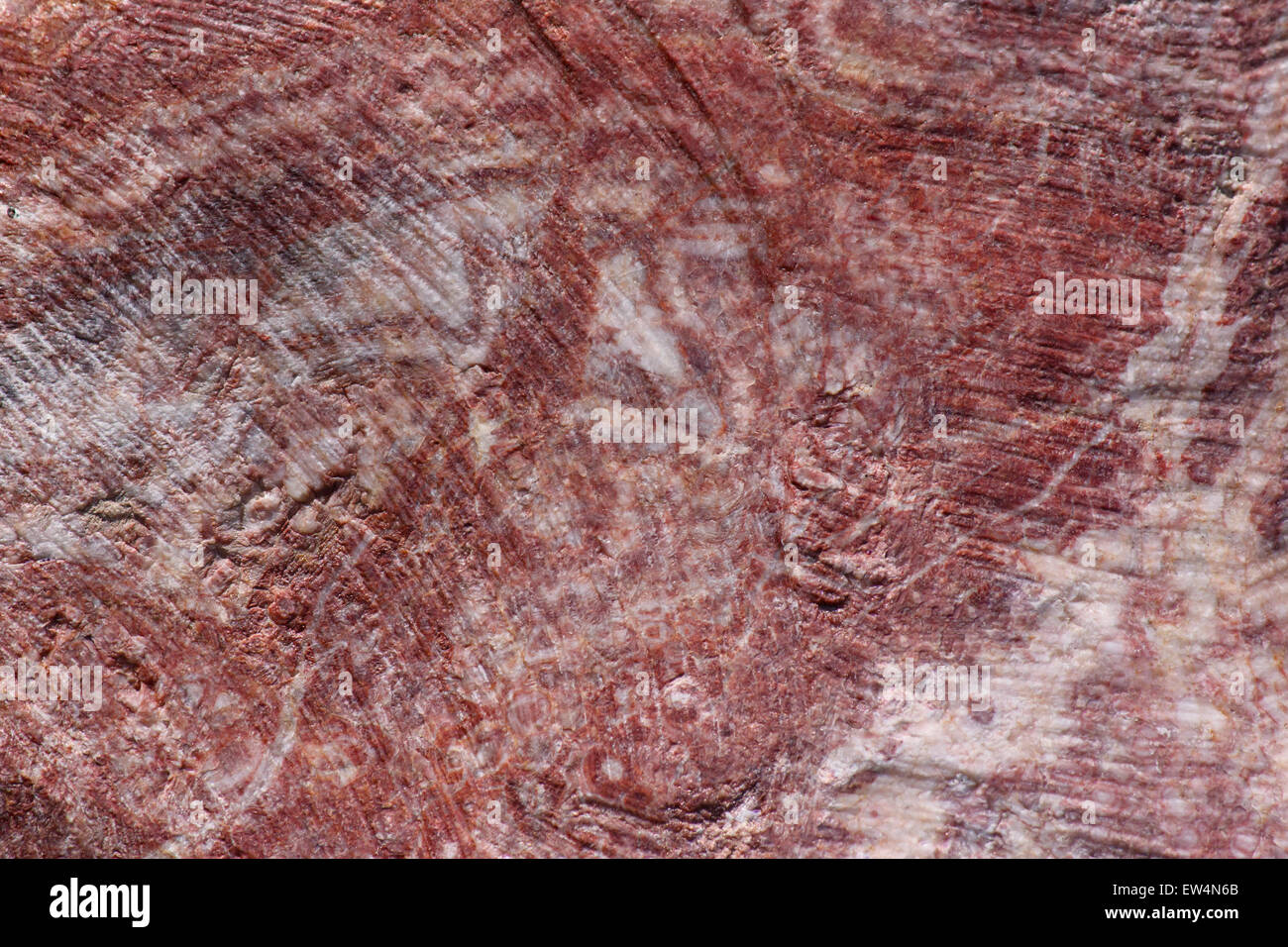 Red Stone Texture Like Marble White Stock Photo 758228128