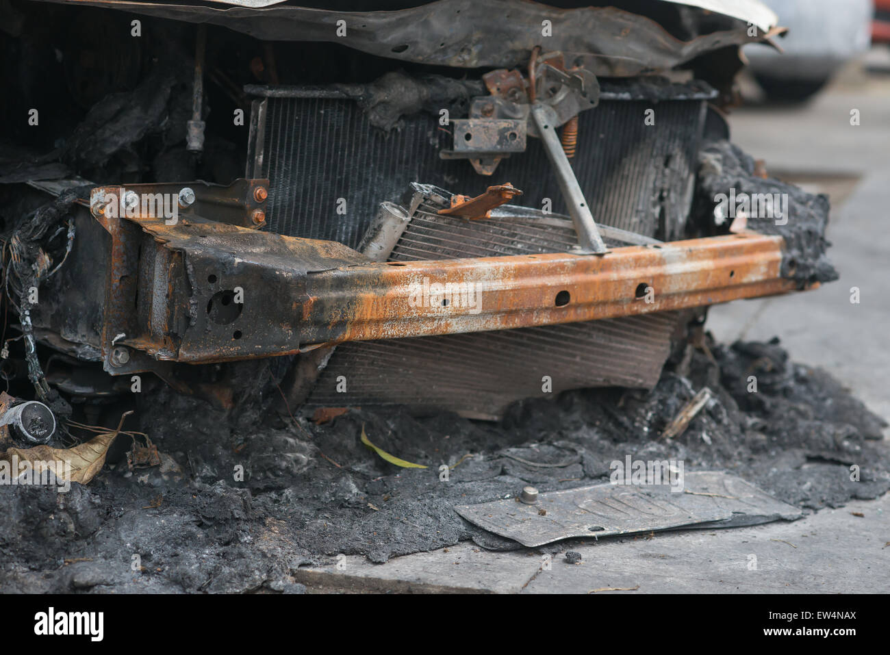 front of a burnt out car in an outdoor park Stock Photo