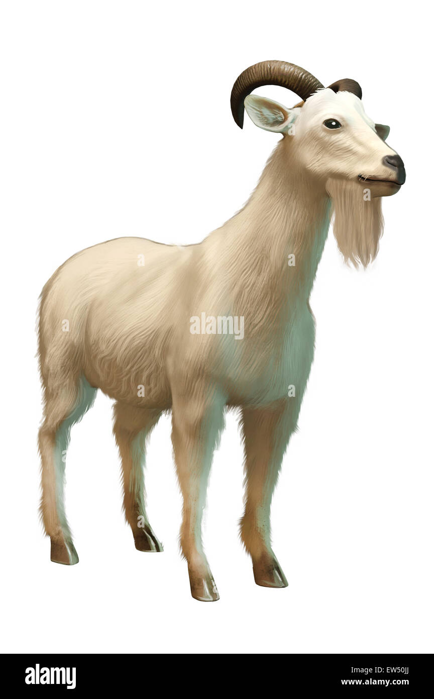 Goat,Illustration Technique, Stock Photo