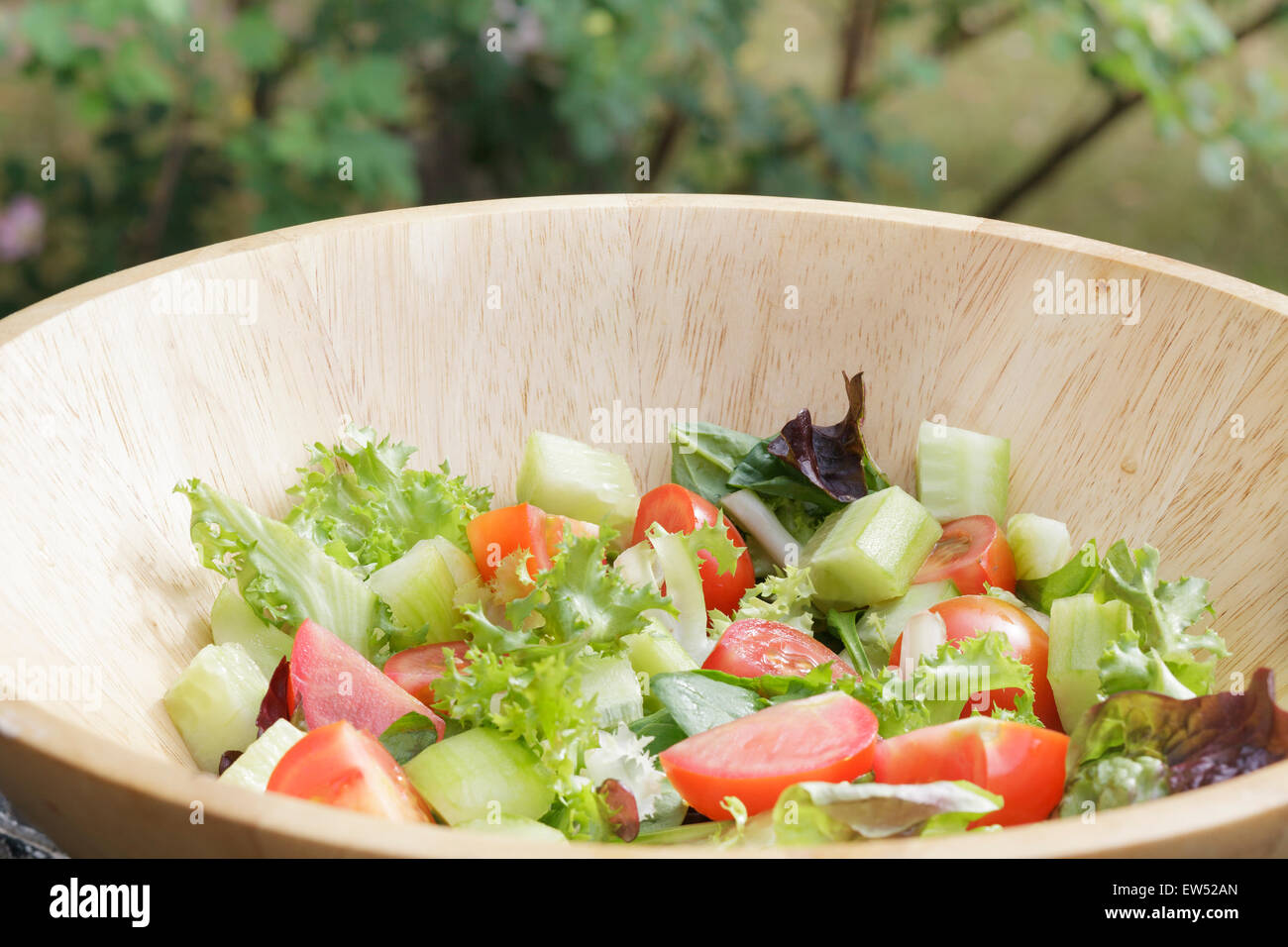 Bowl of salad outside Stock Photo