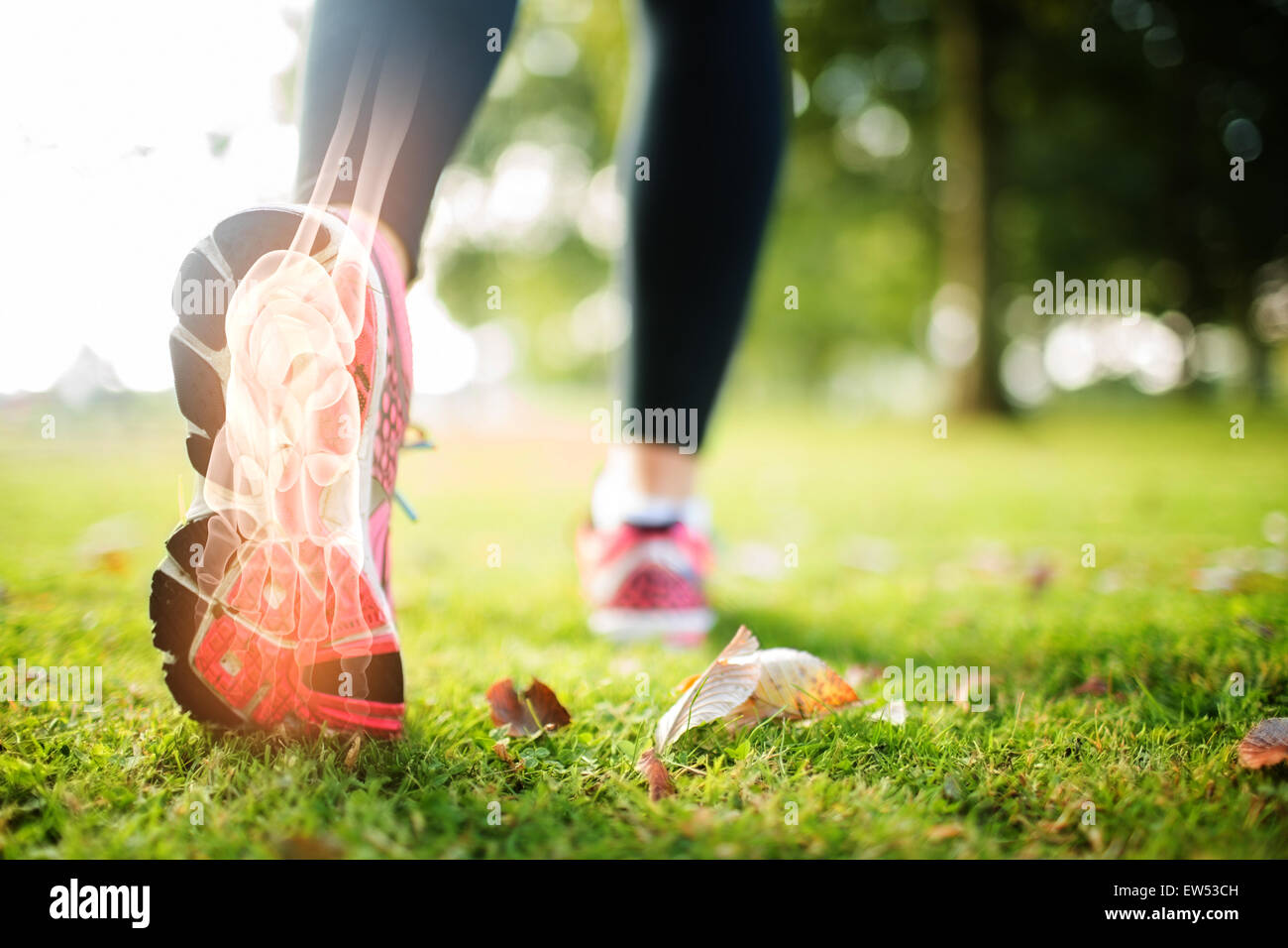 Highlighted foot bones of jogging woman Stock Photo