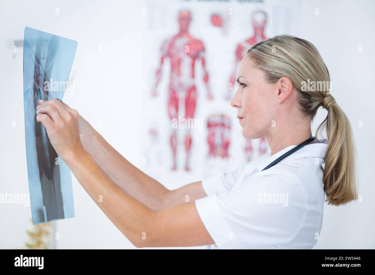 Concentrate doctor looking at X-Rays Stock Photo