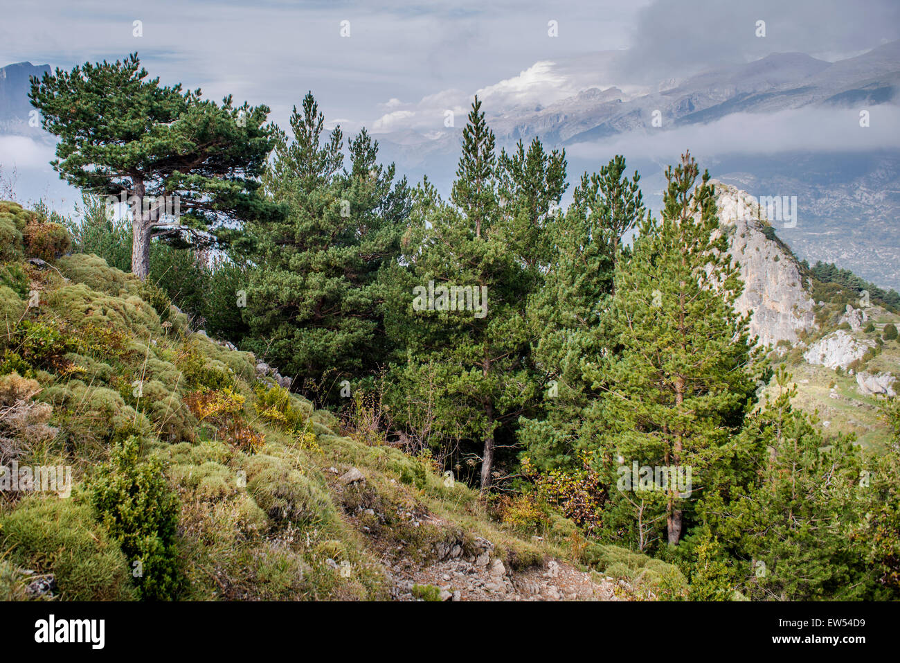 Panoramic views from Tella, huesca Pyrenees, Spain, Europe Stock Photo