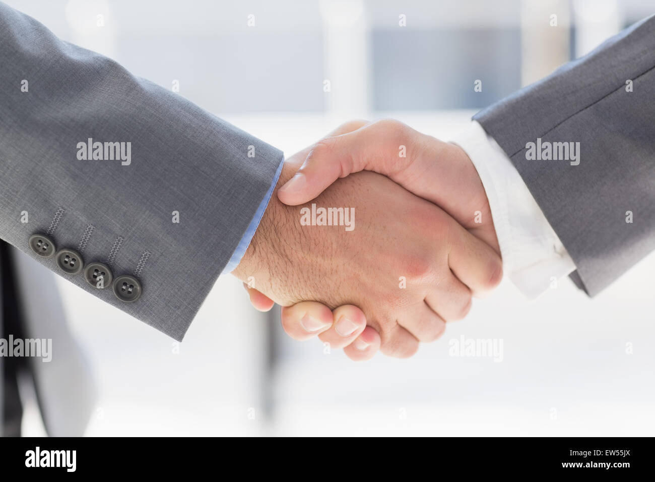Business colleagues greeting each other Stock Photo