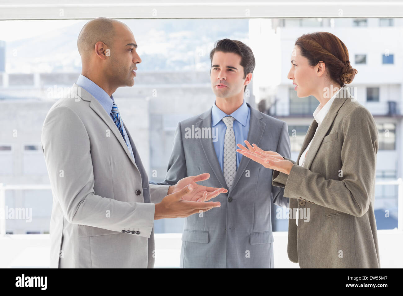 Business colleagues having a disagreement Stock Photo