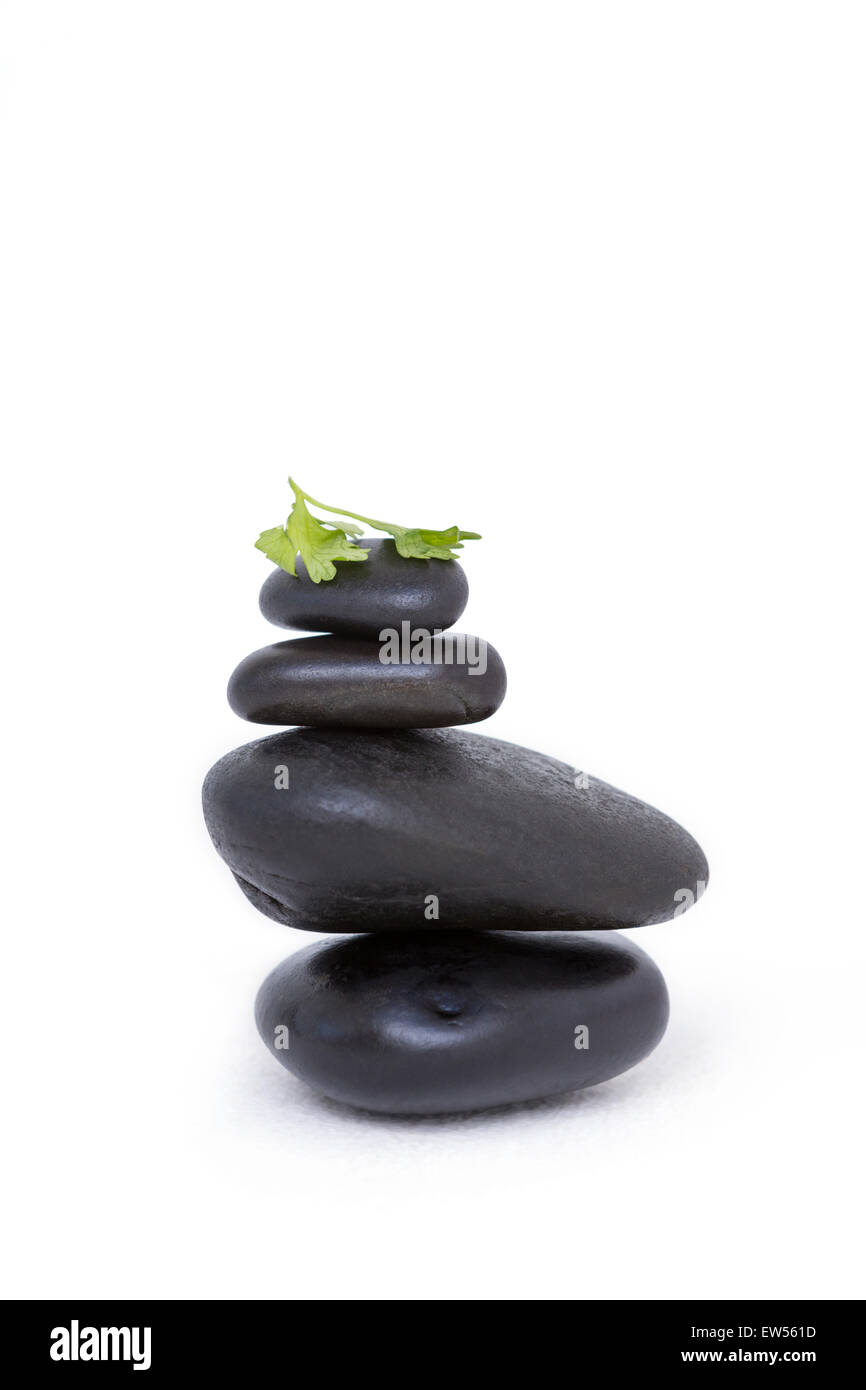 Tower of pebbles with branch of herb Stock Photo