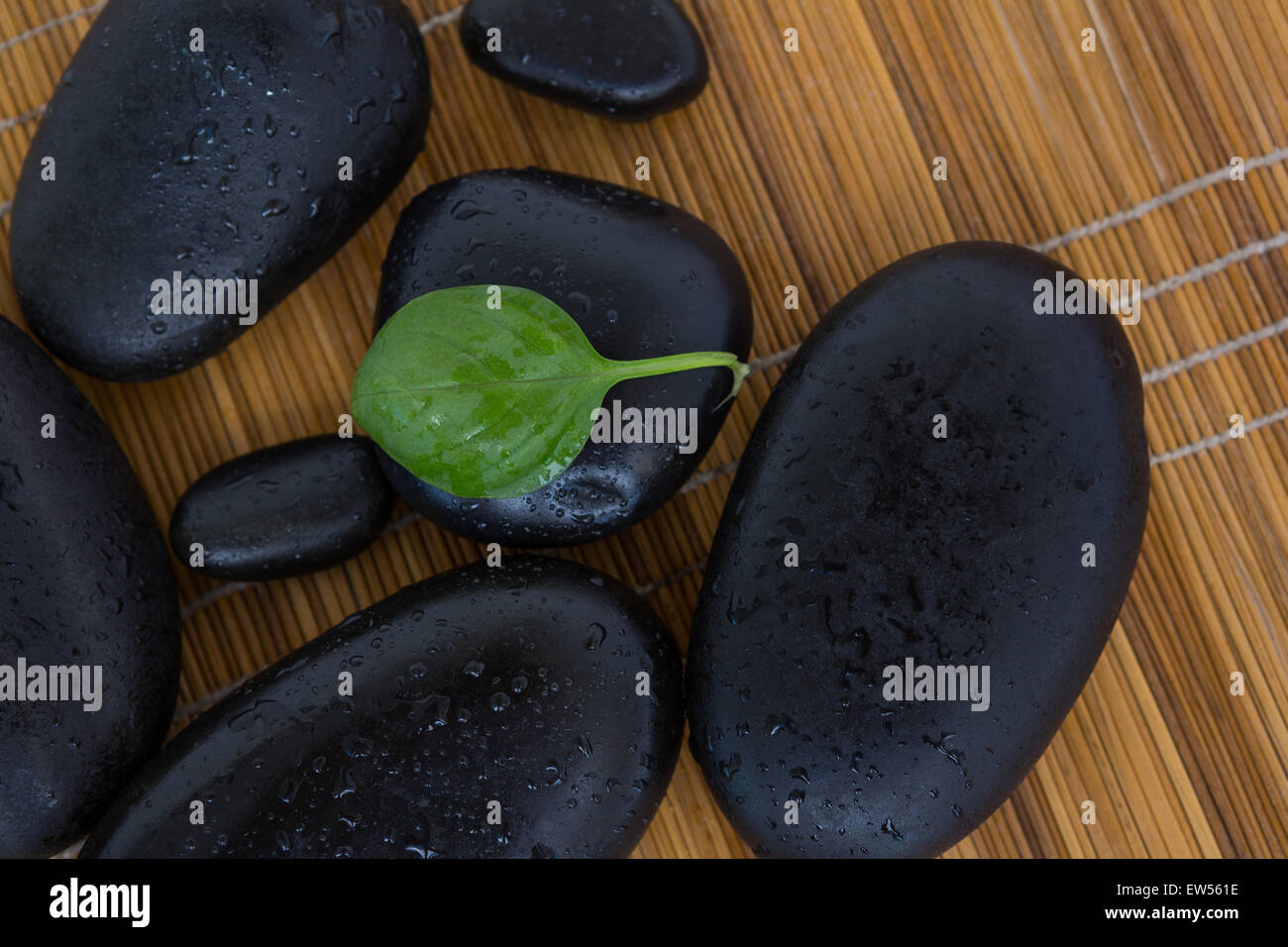 Pebbles and herbs leaf Stock Photo