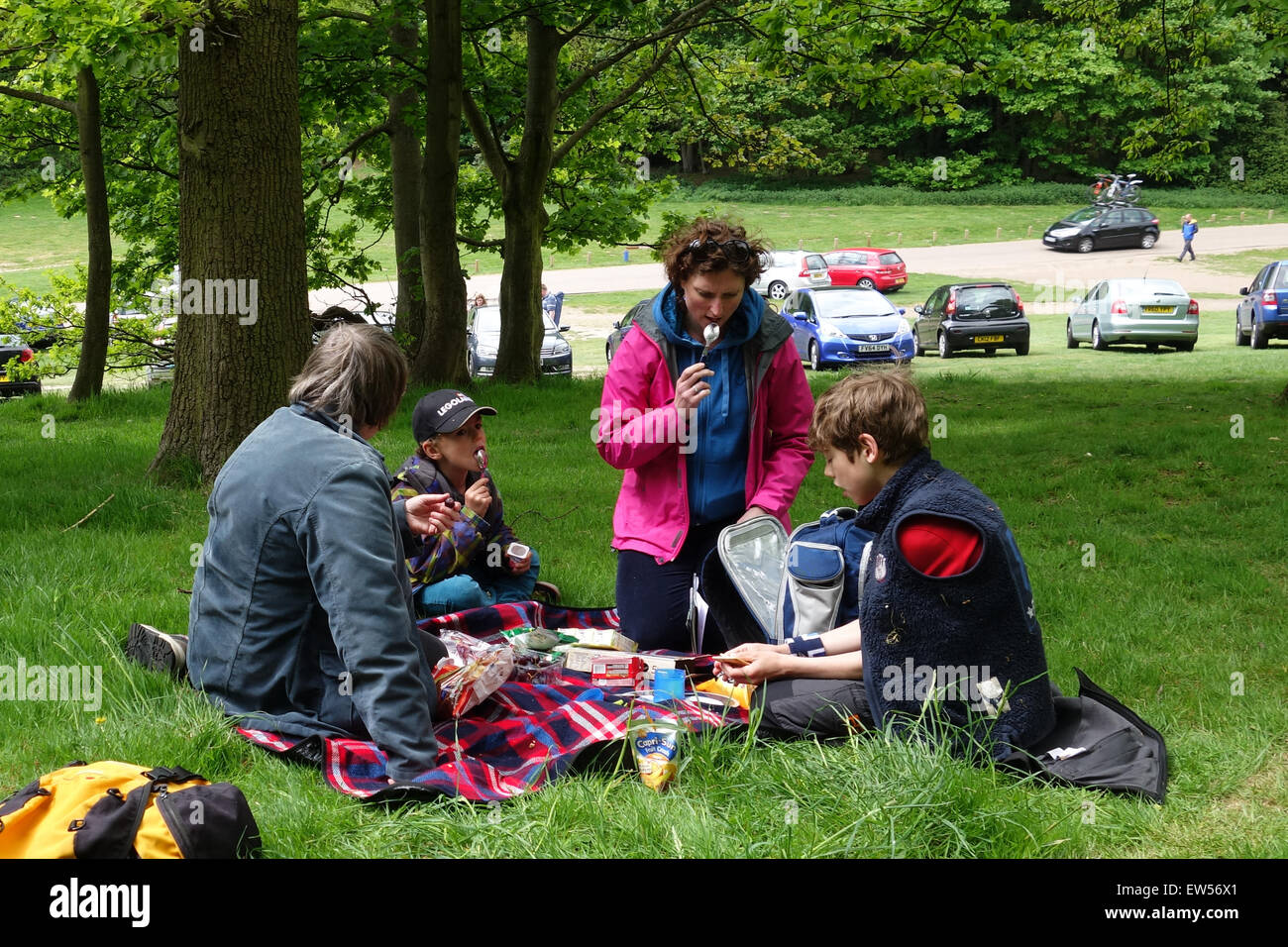 Family at picnic hi-res stock photography and images - Alamy
