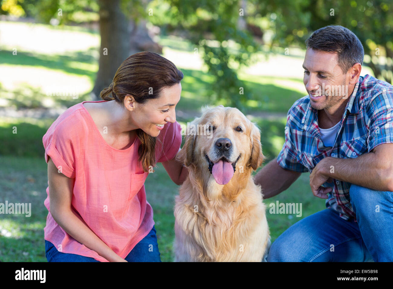 Happy couple with their dog in the park Stock Photo - Alamy