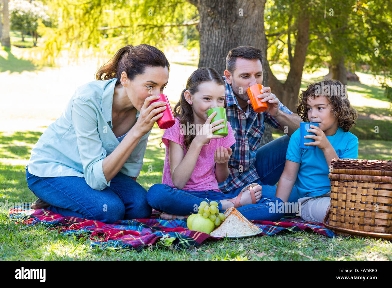 Happy family on a picnic in the park Stock Photo Alamy