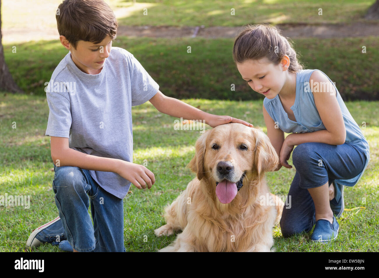 Sibling with their dog in the park Stock Photo