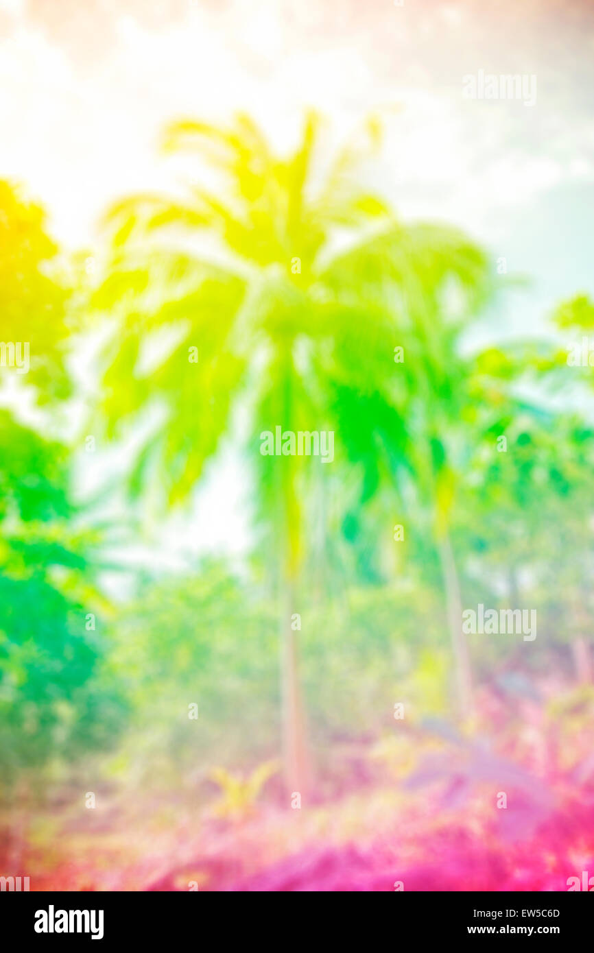 Hippie rasta style blurred nature background, space for text. Stock Photo