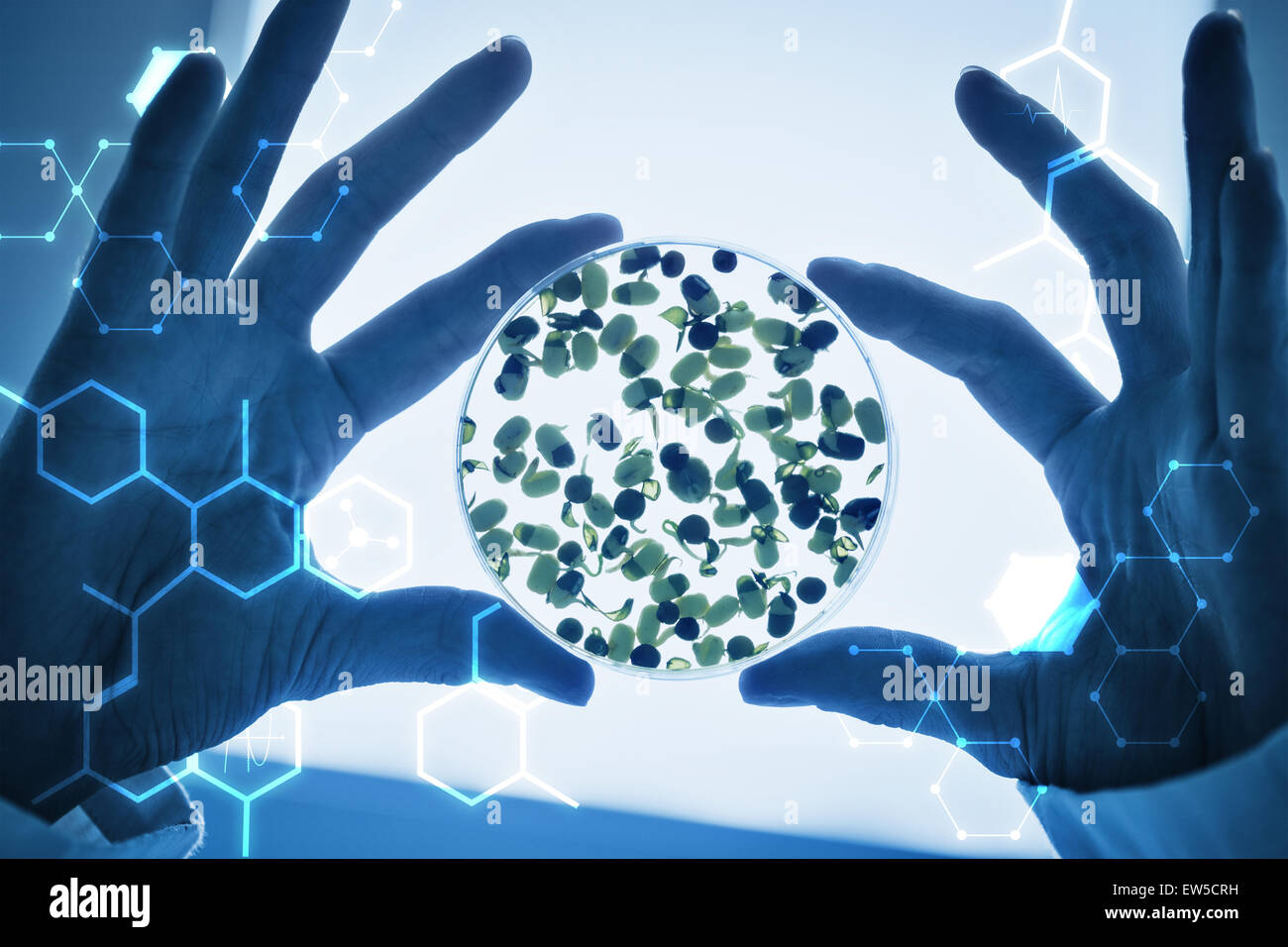 Profession science hi-res stock photography and images - Alamy