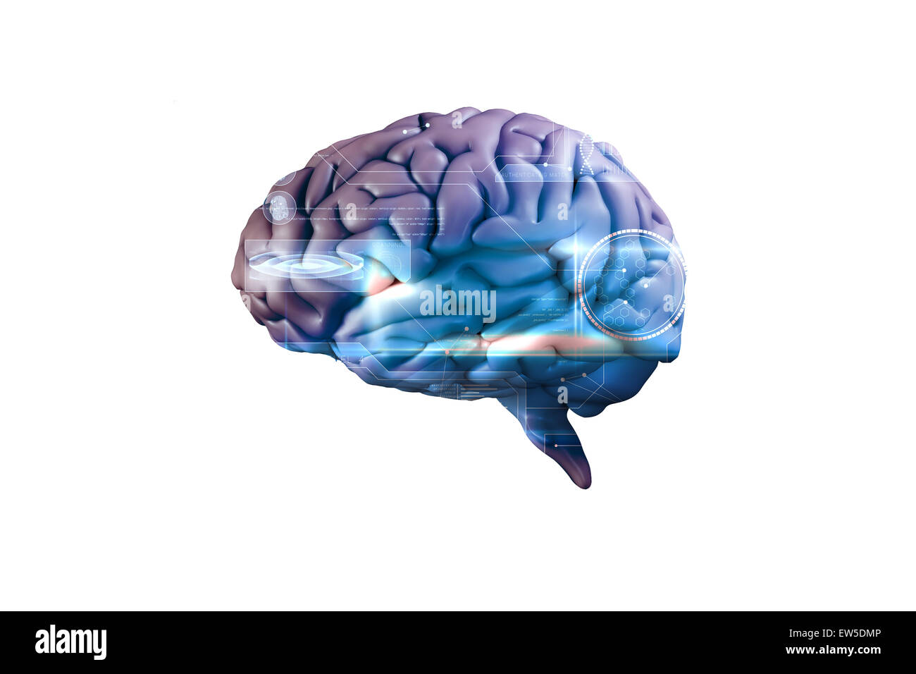 Digital brain map Cut Out Stock Images & Pictures - Alamy