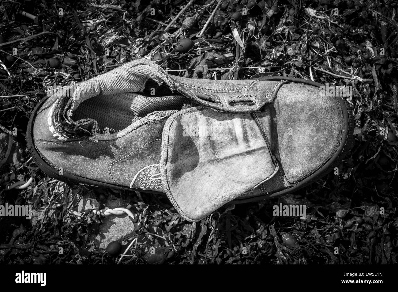 old shoe washed up on the shore Stock Photo Alamy