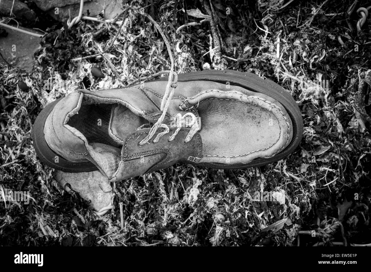 old shoe washed up on the shore Stock Photo Alamy