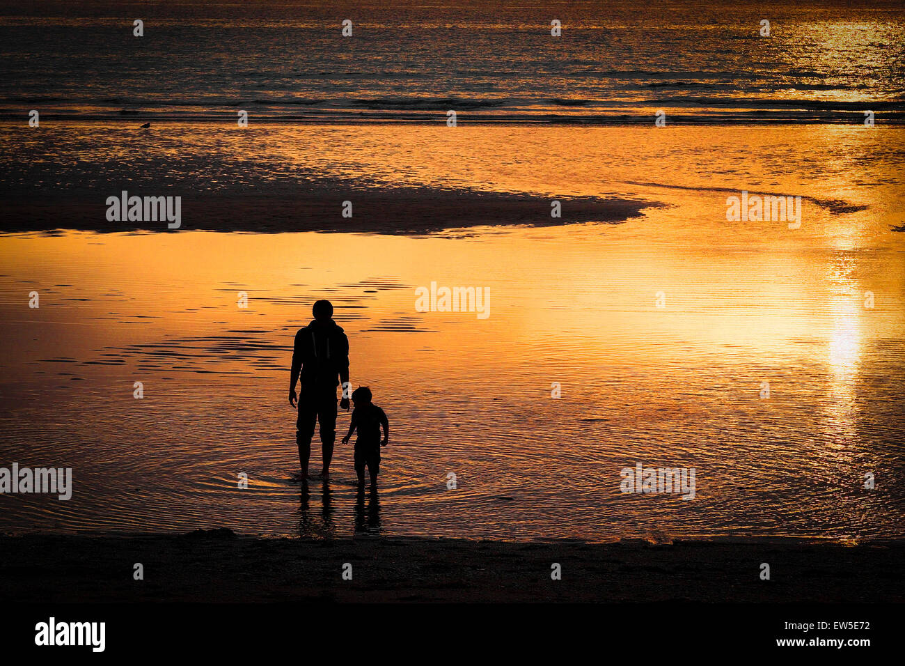 A father and son exploring the beach at Fistral in Newquay, Cornwall. Stock Photo