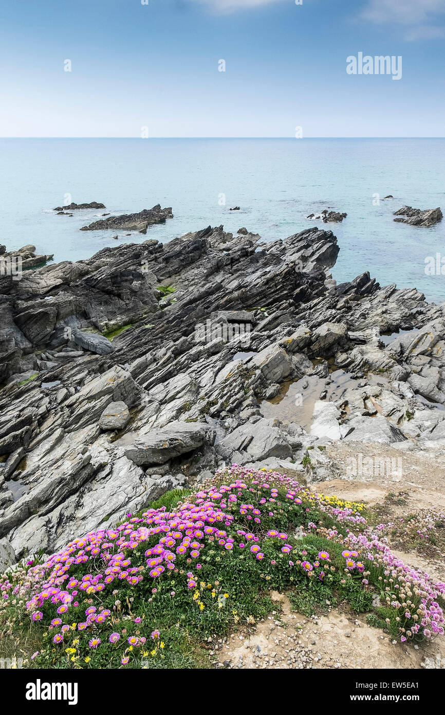 The rugged coast around Newquay in Cornwall. Stock Photo