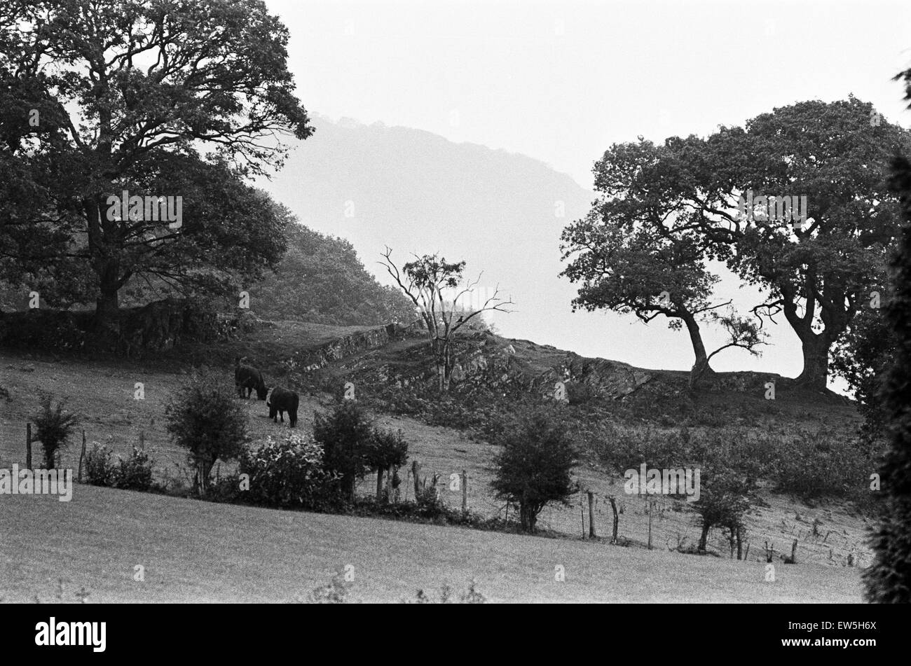 Coventrys Hi Res Stock Photography And Images Alamy