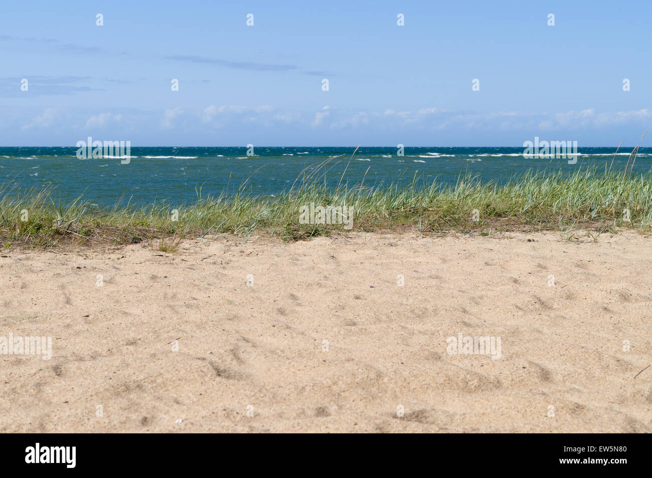 Baltic sea wild beach landscape Stock Photo