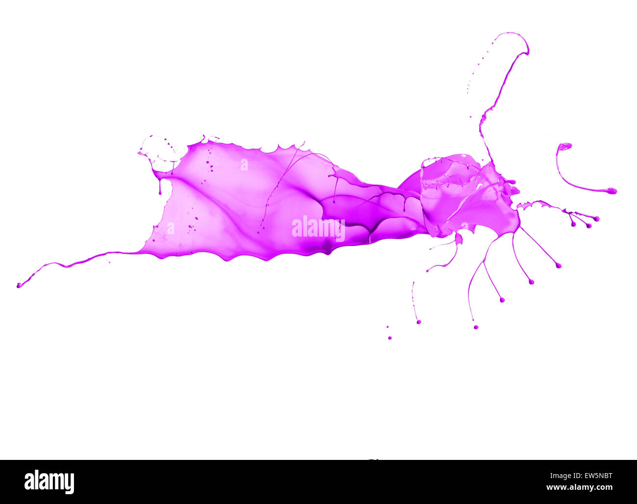 Purple splash isolated on white background Stock Photo - Alamy