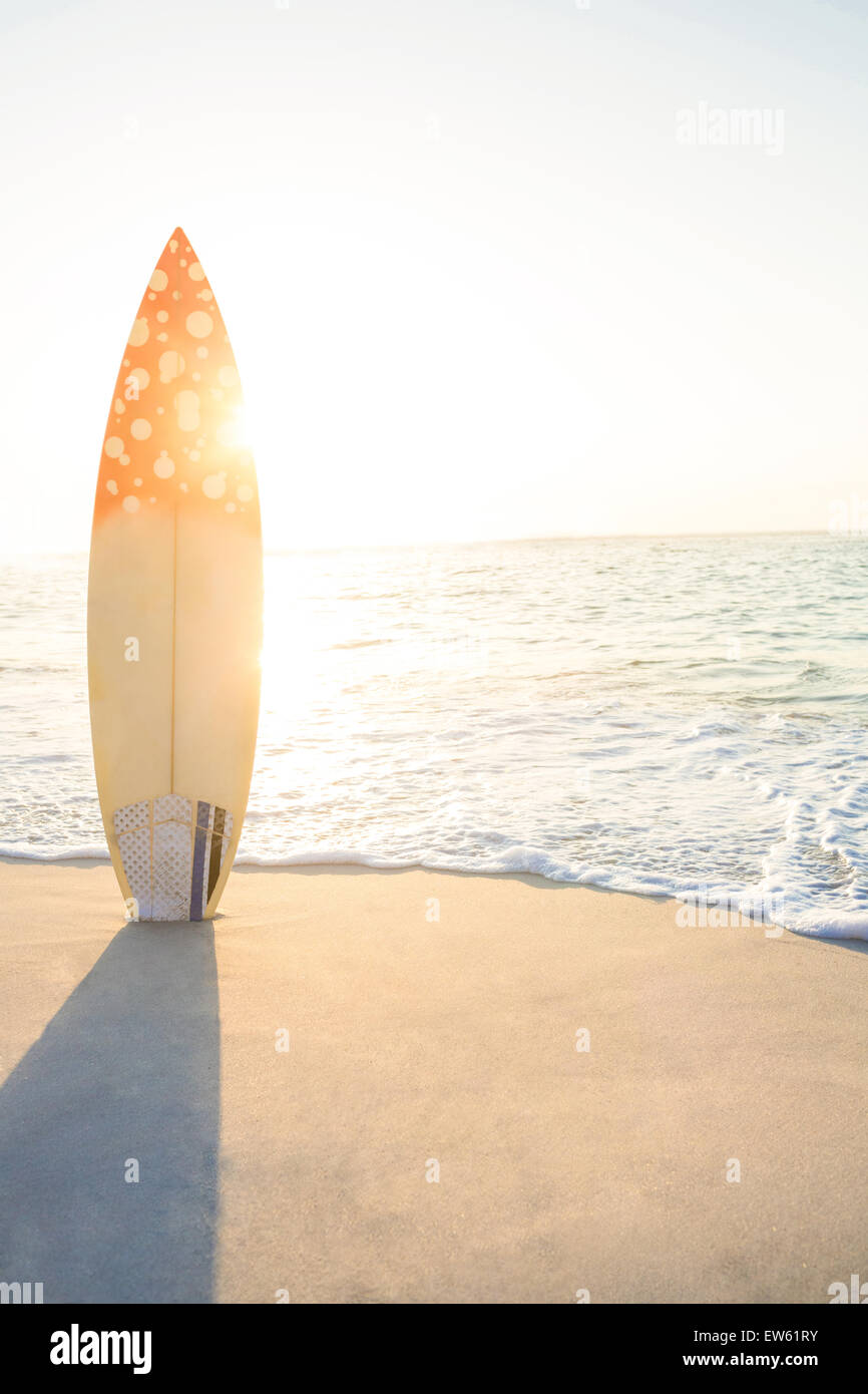surf board standing on the sand Stock Photo