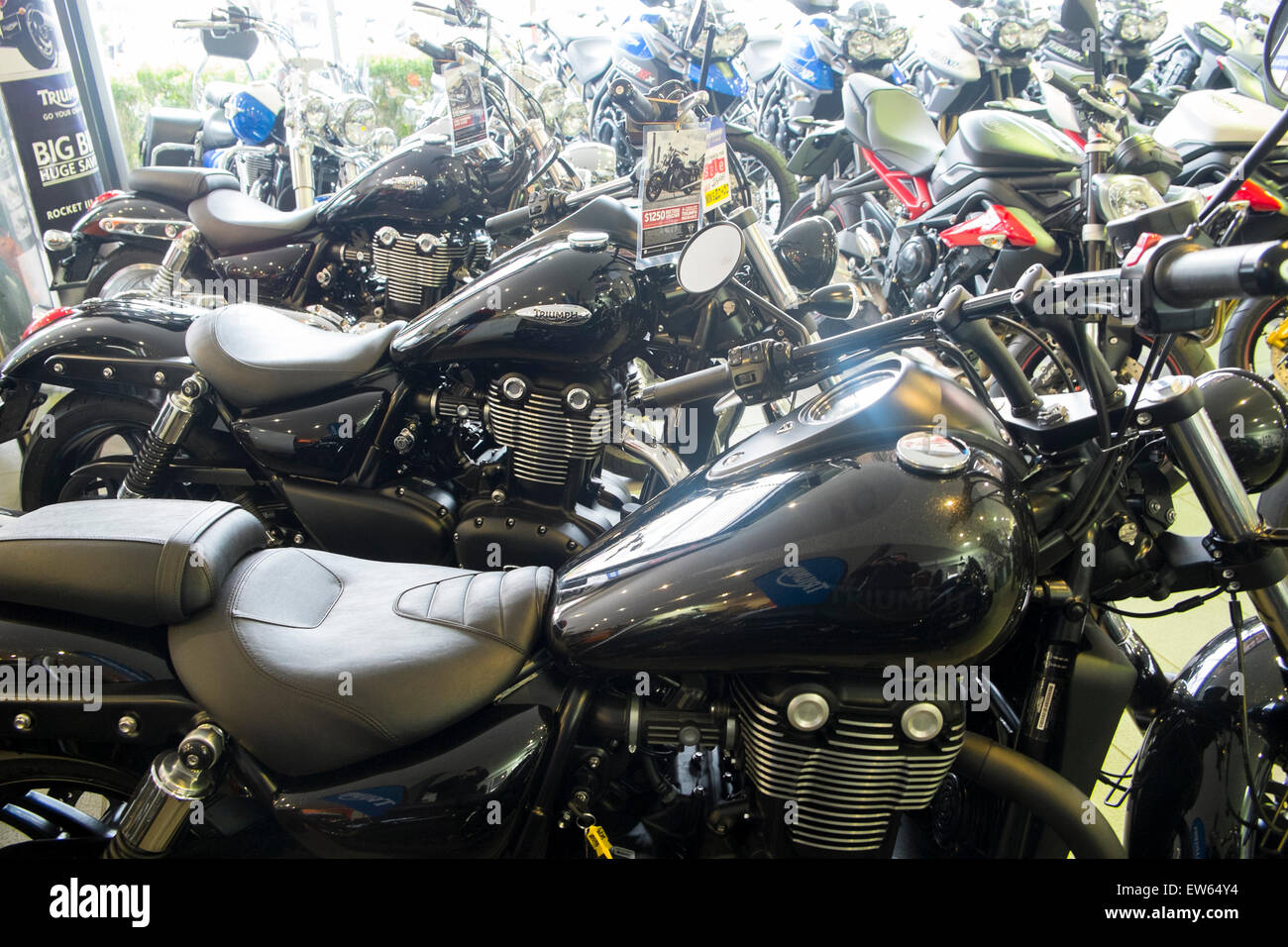 Triumph showroom hi-res stock photography and images - Alamy