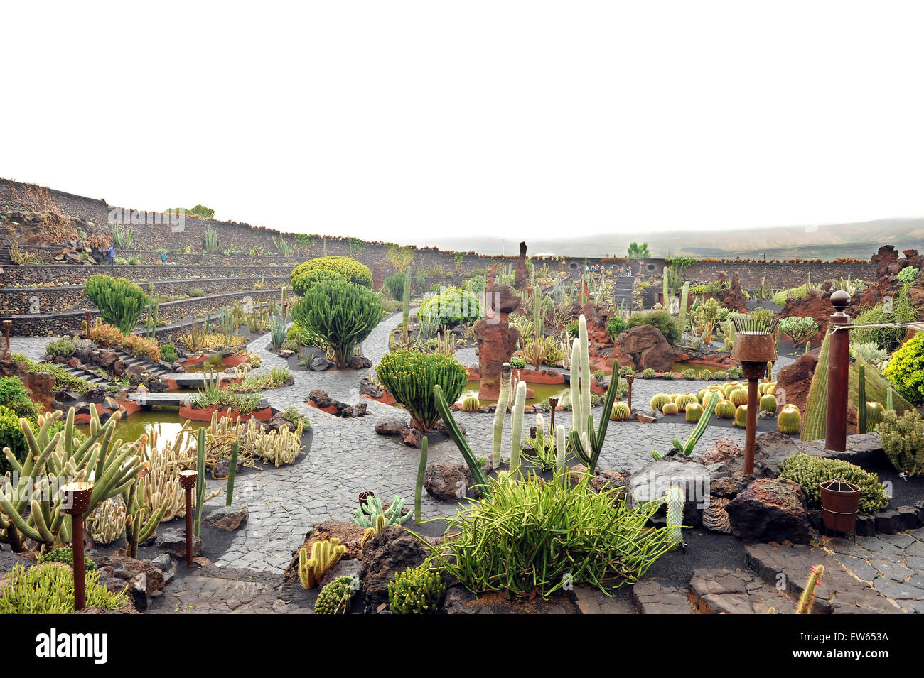 Lanzarote, Canary Islands. Various cactuses growing in a cactus park designed by the artist Cesar Manrique. Stock Photo