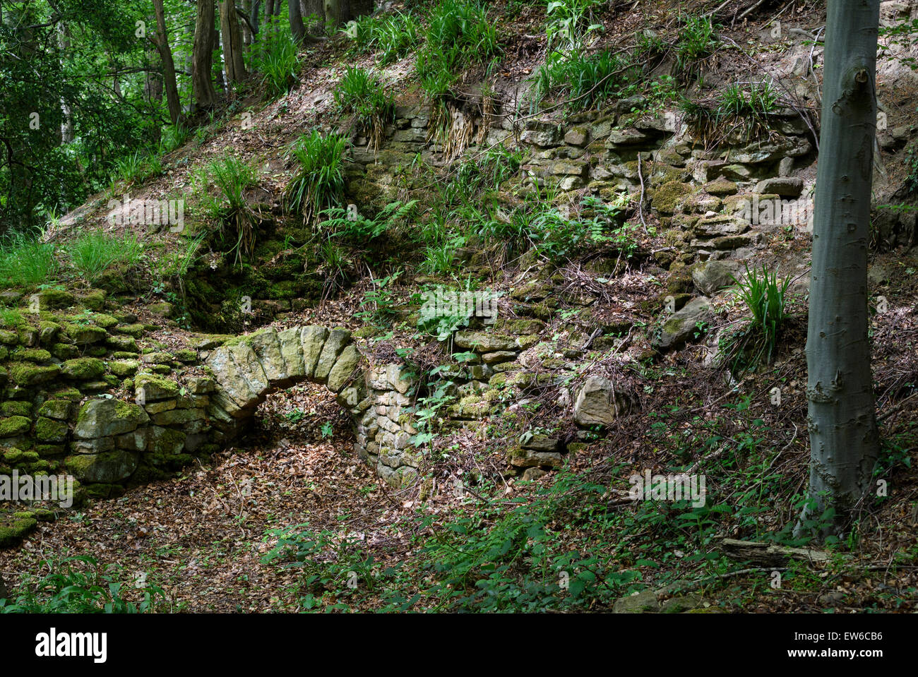 Remains of 17th Century Iron Works at Allensford Stock Photo