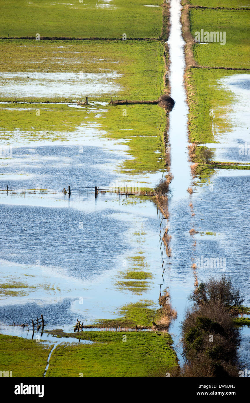 Improving weather has given some parts of the Somerset Levels the chance to recover - here fields and ditches emerge from the fl Stock Photo