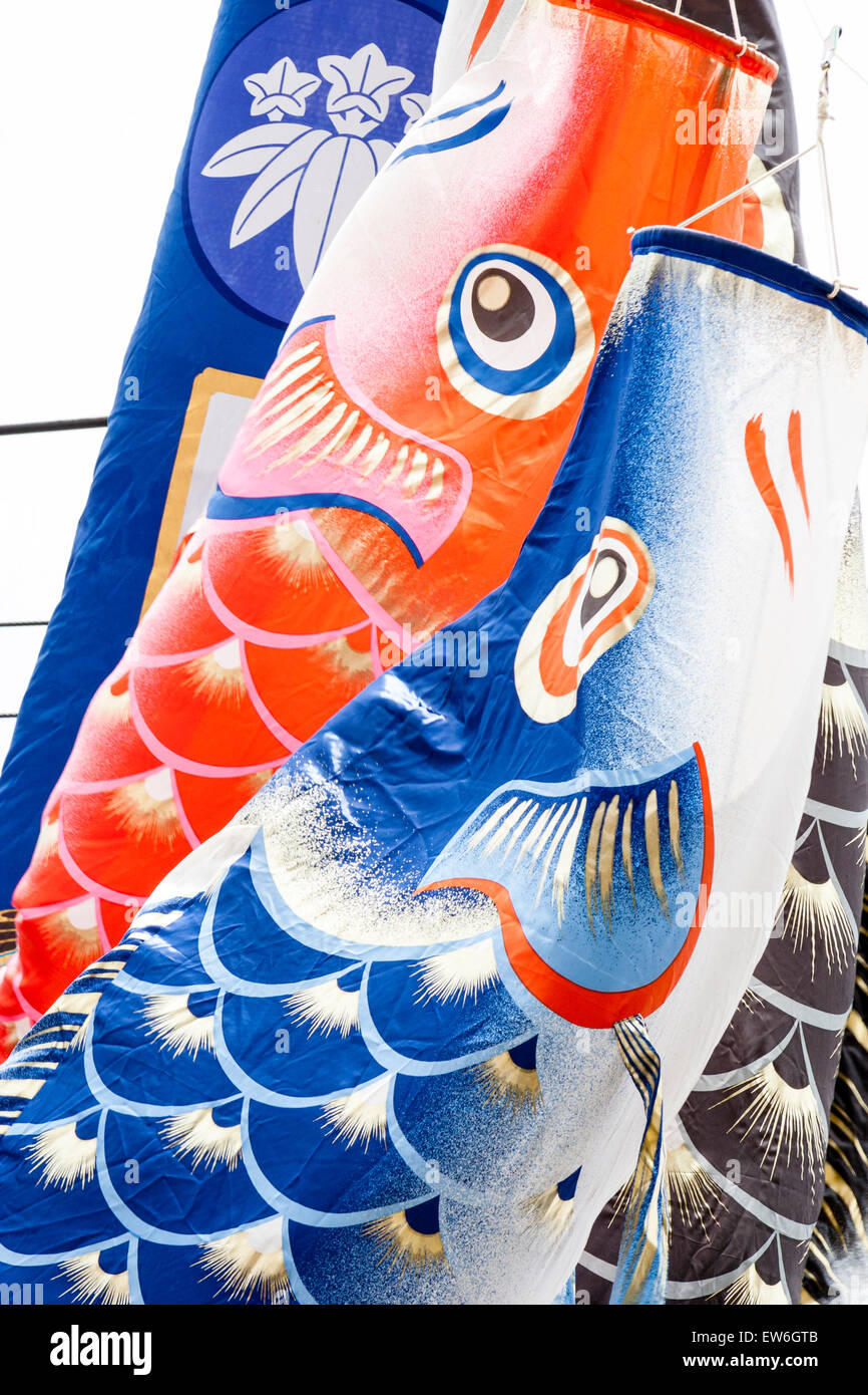 Japan. Two springtime koinobori carp banners fluttering in the wind, Higoi, red and fukinagashi, main banner, fluttering in the breeze. Stock Photo