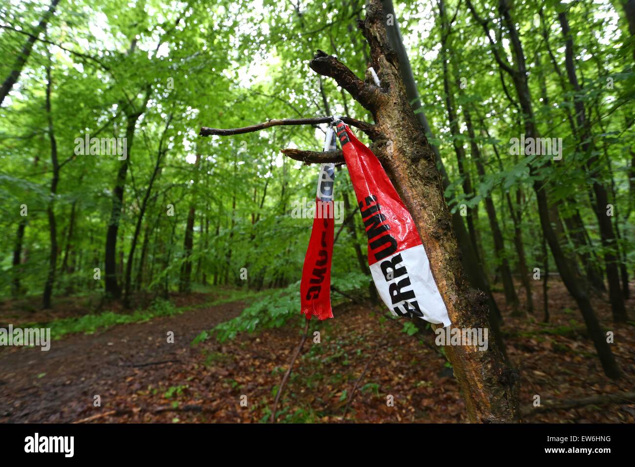 Kist, Germany. 18th June, 2015. The remnants of police tapes are pictured in a forest near Kist, Germany, 18 June 2015. The 50-year-old son of entrepreneur Reinhold Wuerth was found in this part of the forest after being abducted. © dpa picture alliance/A Stock Photo