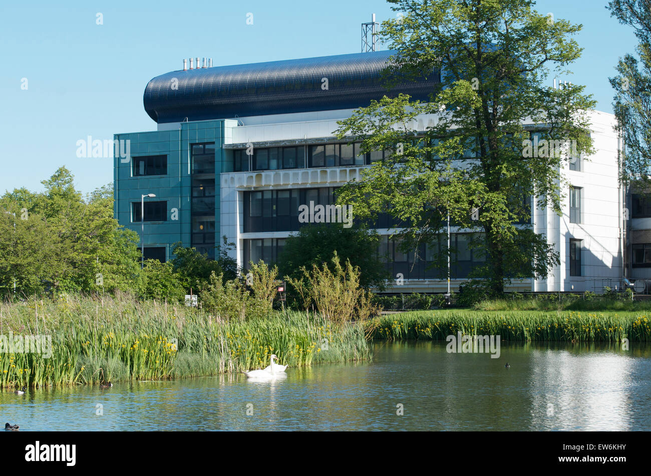 Paul O'Gorman Leukaemia Research Centre at Gartnavel Hospital overlooking Bingham's Pond. Stock Photo