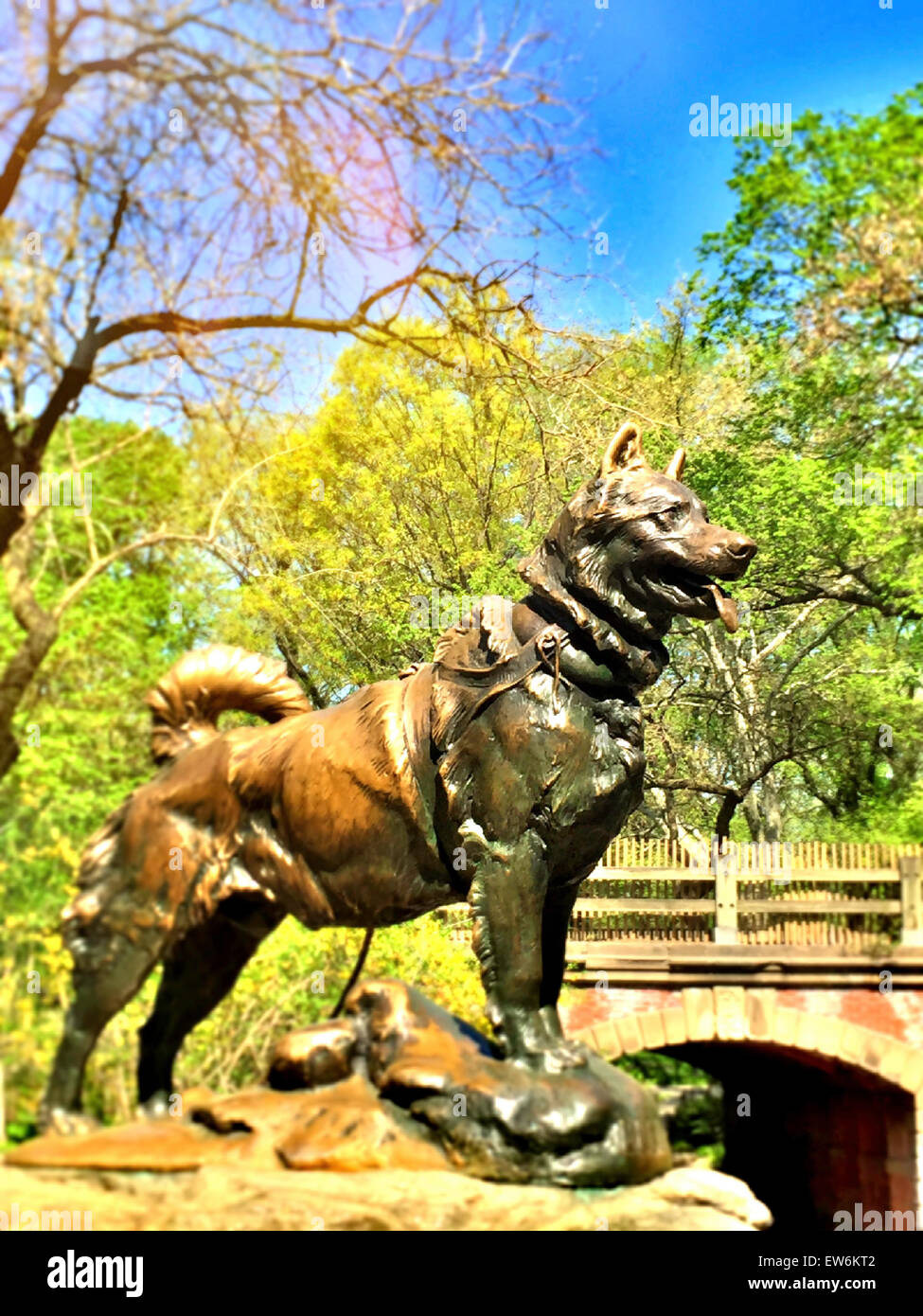 Sled Dog Statue, Balto, in Central Park NYC Stock Photo Alamy
