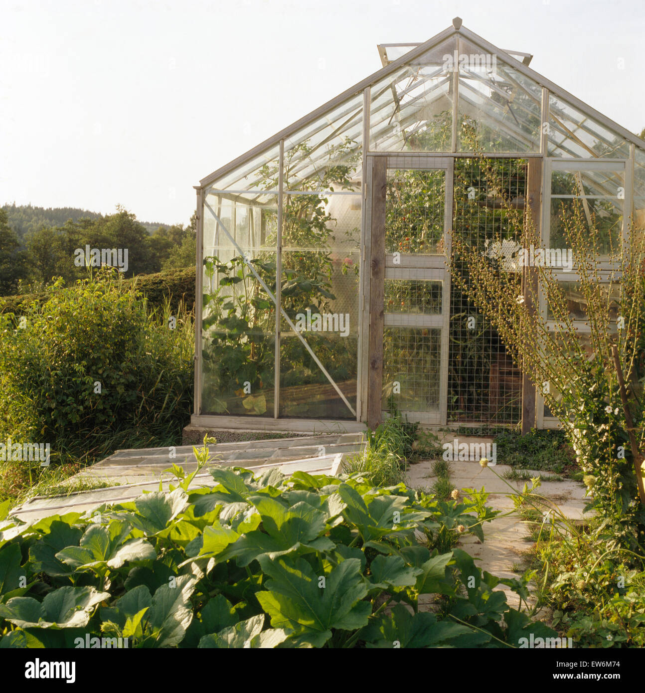 Greenhouse in large vegetable garden Stock Photo - Alamy