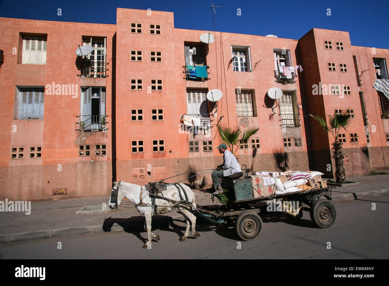 Contrast of donkey cart outside satellite dish covered local apartment building in Marrakesh/ Marrakech, Morocco, Africa.Marrakesh,carrying,saddle, Stock Photo